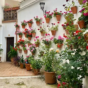  Appartement Amal